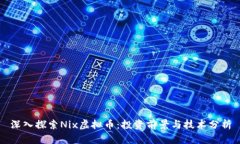 深入探索Nix虚拟币：投资前景与技术分析