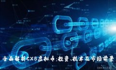 全面解析CXB虚拟币：投资