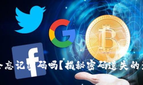 虚拟币创建人会忘记密码吗？揭秘密码遗失的影响与应对措施