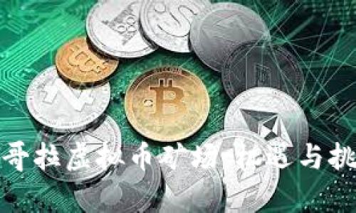 探索安哥拉虚拟币矿场：机遇与挑战并存