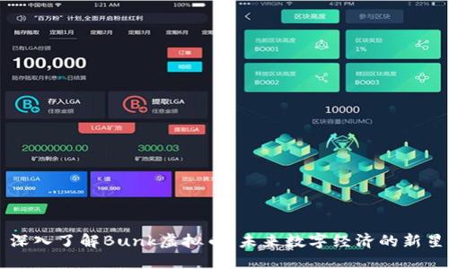 深入了解Bunk虚拟币：未来数字经济的新星