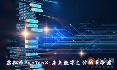 :虚拟币PayTenX：未来数字支