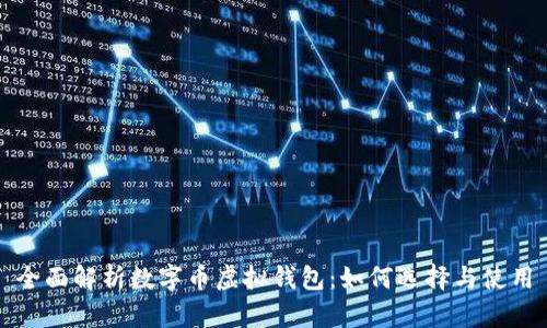 全面解析数字币虚拟钱包：如何选择与使用