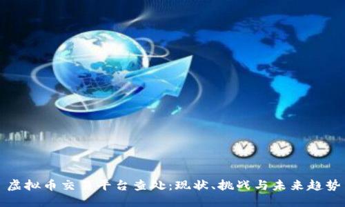 虚拟币交易平台查处：现状、挑战与未来趋势