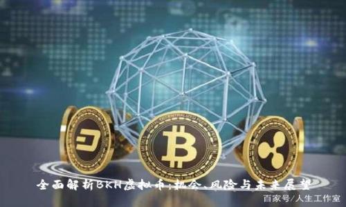 全面解析BKH虚拟币：机会、风险与未来展望