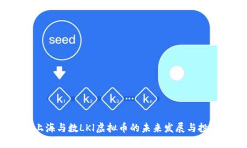  探索上海与数LKl虚拟币的未来发展与投资前景